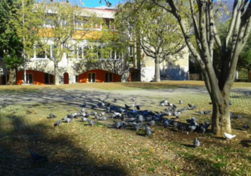 Prikupljanje ambalažnog otpada sjutra ispred OŠ „Stefan Mitrov Ljubiša”