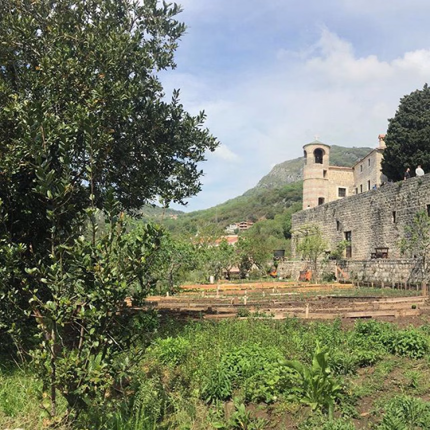 Manastir Podmaine korijen stare Budve