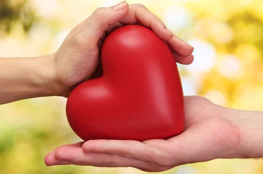 “Ono što nađoh u Budvi nema u Torontu”