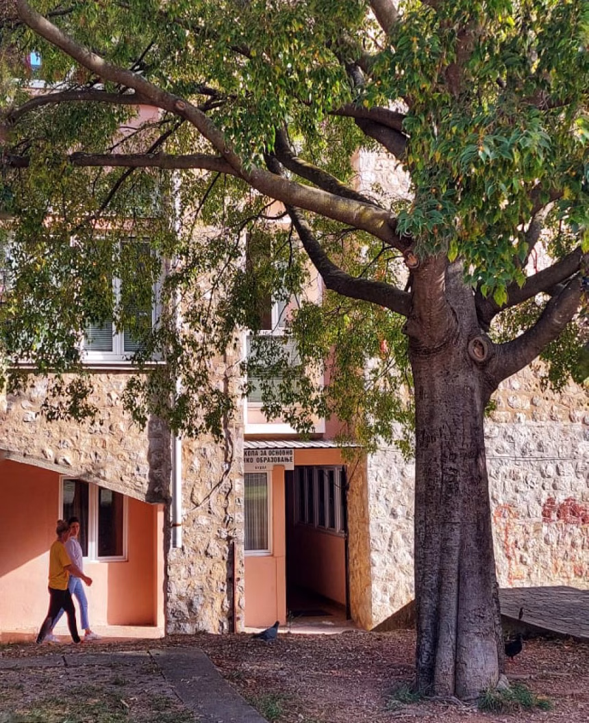 Pet novih odsjeka u Školi za osnovno muzičko obrazovanje u Budvi