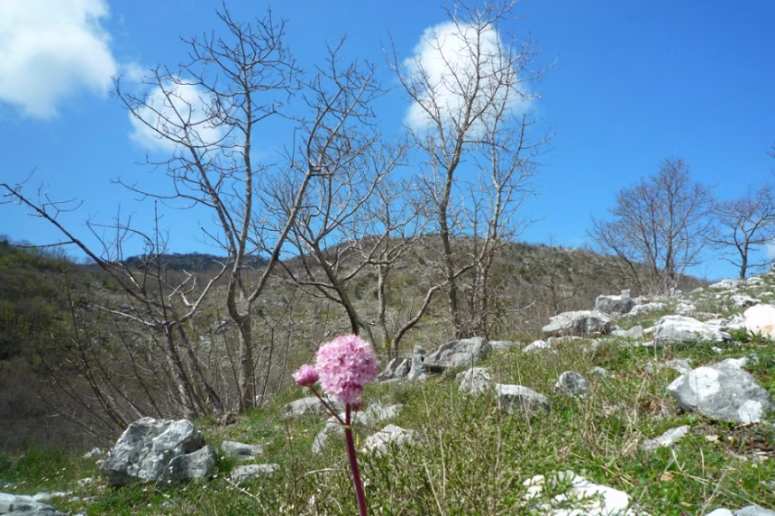 Otvorena lovna sezona, problemi Paštrovske lovačke organizacije brojni