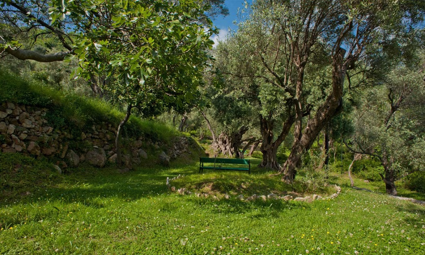 Inicijativa Bankada: Paštrovići kandidati za UNESCO-ove puteve maslina