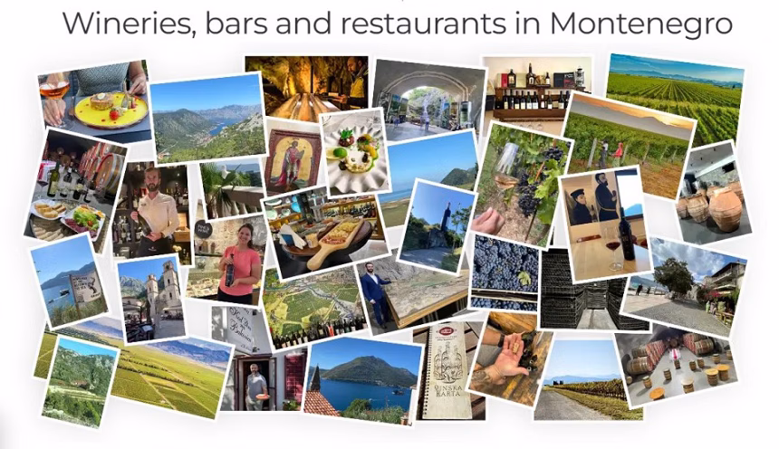 Članak o Crnoj Gori „Vino između Jadrana i planina“ na najvećoj evropskoj platformi posvećenoj vinima