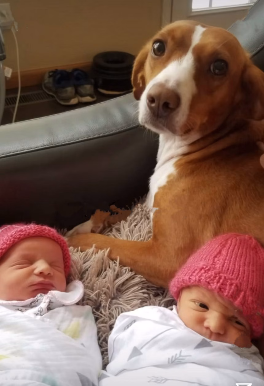 Od Crne Gore do Kolorada: Priča o Kari