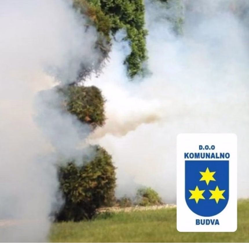 U toku šesti ciklus zaprašivanja komaraca, pčelari da zaštite košnice