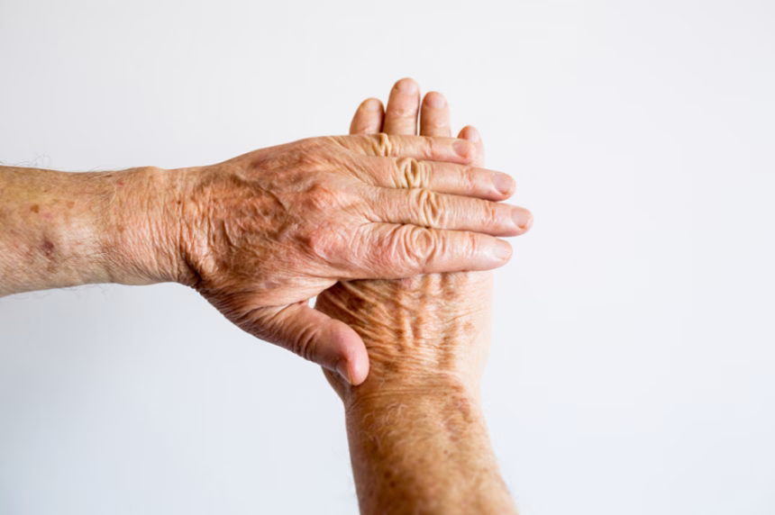 Novi međunarodni master program u biologiji starenja: Erasmus Mundus dodijelio sredstva projektu IMAgein