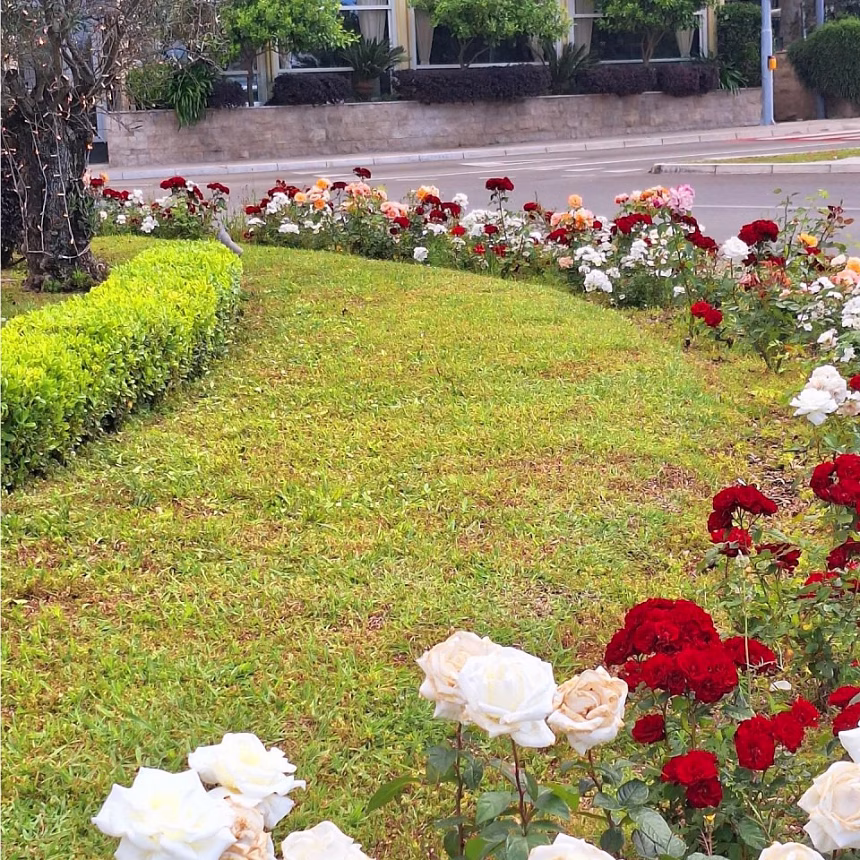 Cvjetnjaci i parkovi u Budvi u punom sjaju