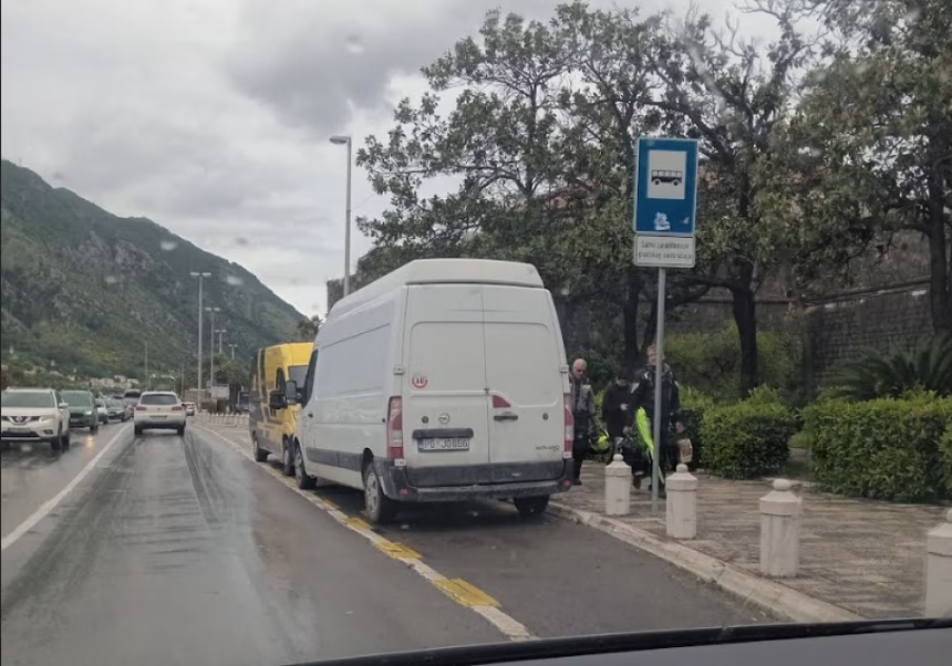 Kotor: Građanski aktivisti odlučni u rješavanju problema sa nepropisnim parikanjem