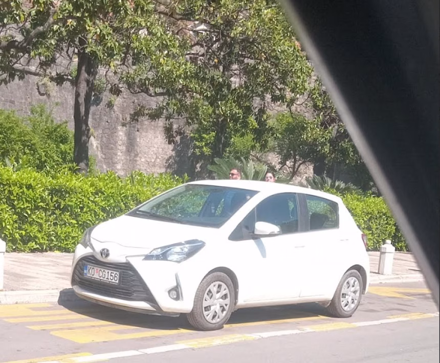 Kotor: Građanski aktivisti odlučni u rješavanju problema sa nepropisnim parikanjem