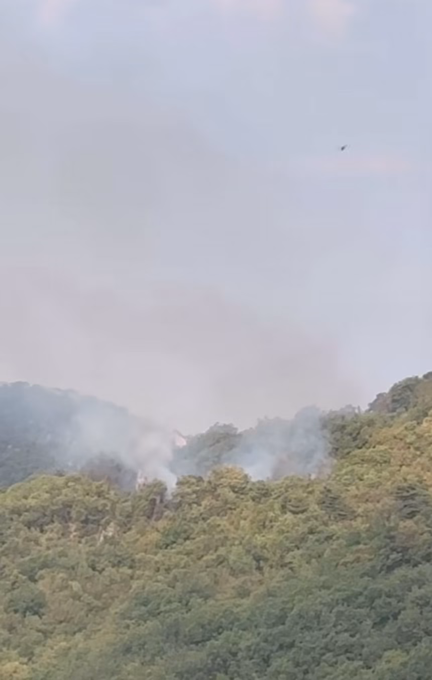 Budvanski vatrogasci spriječili širenje požara kod Lapčića