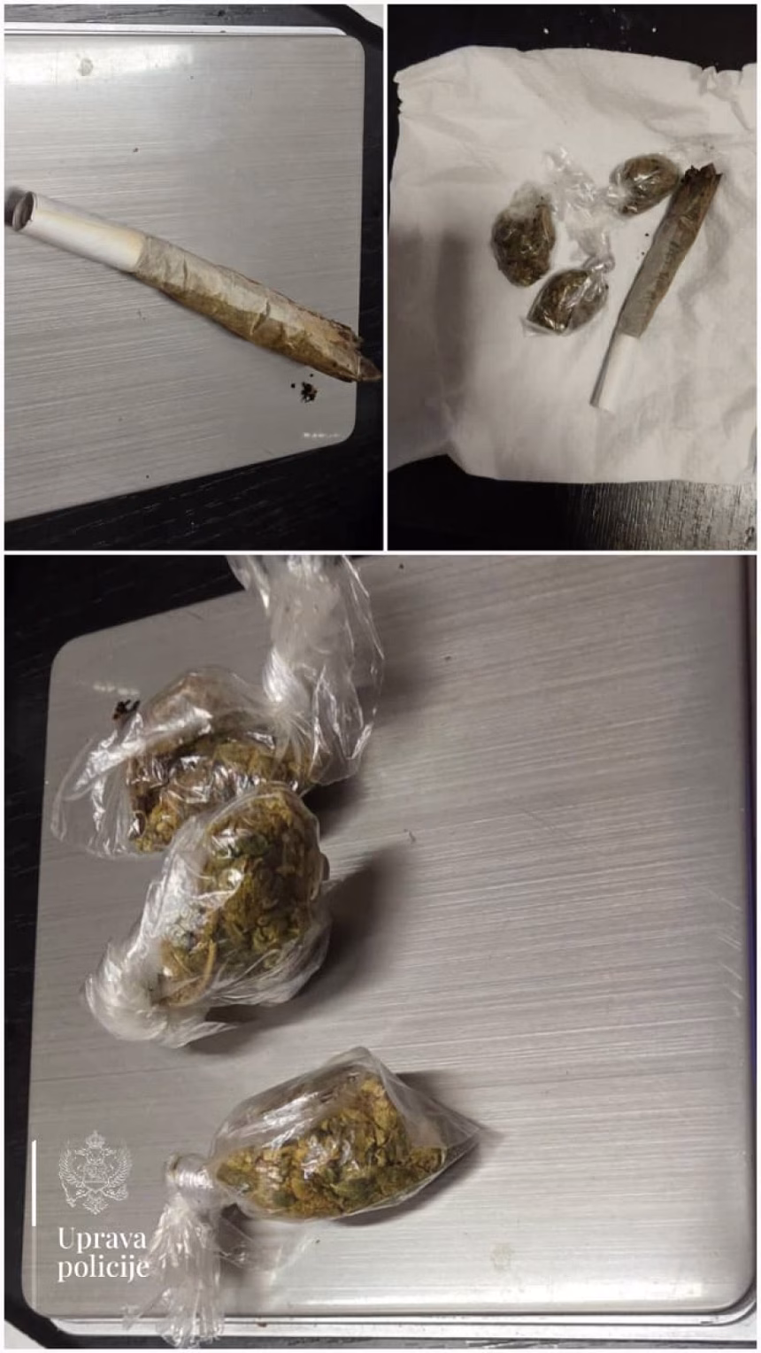 Policija u Budvi zaplijenila marihuanu, jedna osoba uhapšena