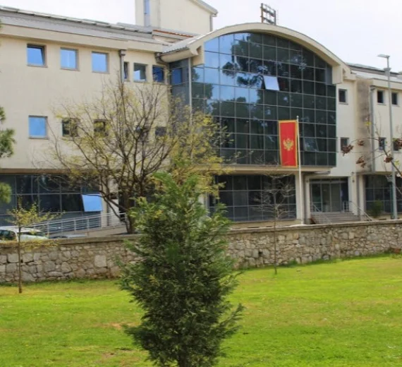 MPNI: Još 13 krivičnih prijava zbog lažnih diploma