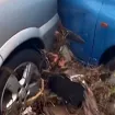 (VIDEO) Bujica pomjerila auto koji godinama zauzima parking mjesto, a koji je udario u drugo vozilo