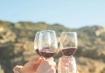 Humanitarna manifestacija 