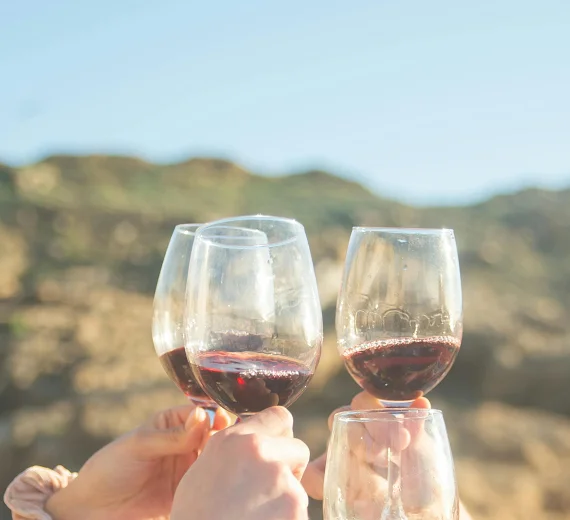 Humanitarna manifestacija 