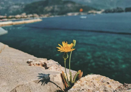 Sjutra umjereno do potpuno oblačno, do 18 stepeni
