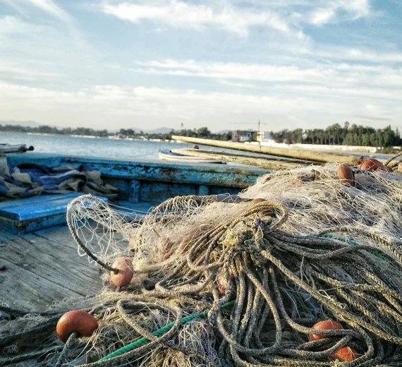 Ribarstvo i EU: Kako Poglavlje 13 utiče na zaštitu mora i ribara u Crnoj Gori