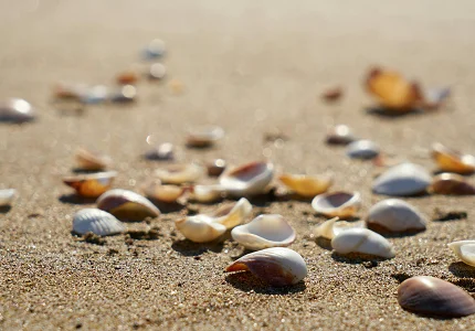 Danas sunčano, temperatura do 19 stepeni