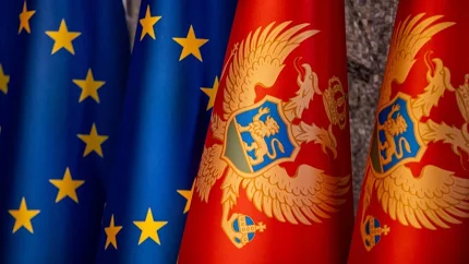 Pet poglavlja pred Komitetom EU