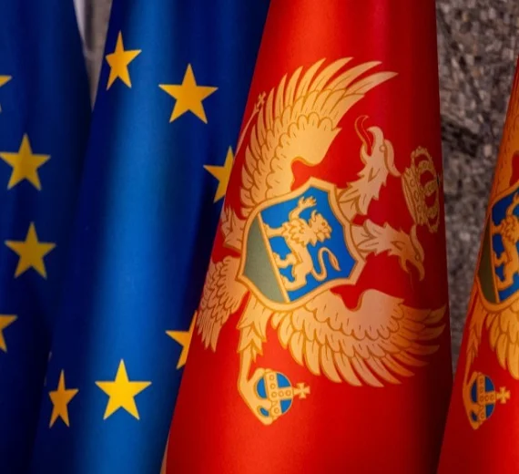 Pet poglavlja pred Komitetom EU