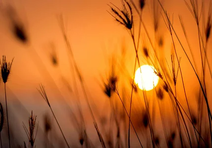 Sunčano i toplo, do 19 stepeni