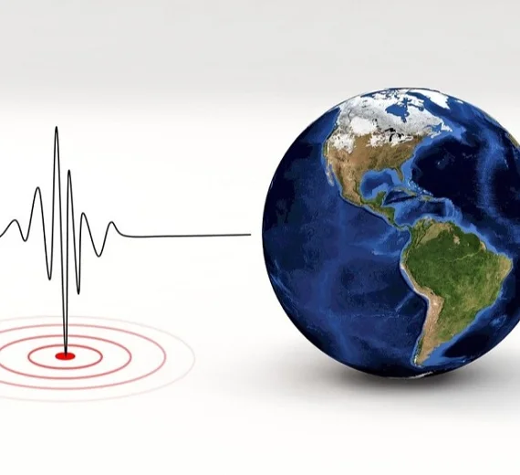 Japan pogodio zemljotres jačine 4,9 stepeni