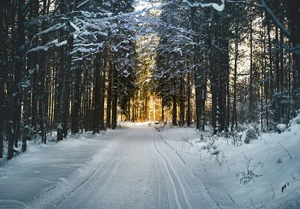 Zima počinje 21. decembra