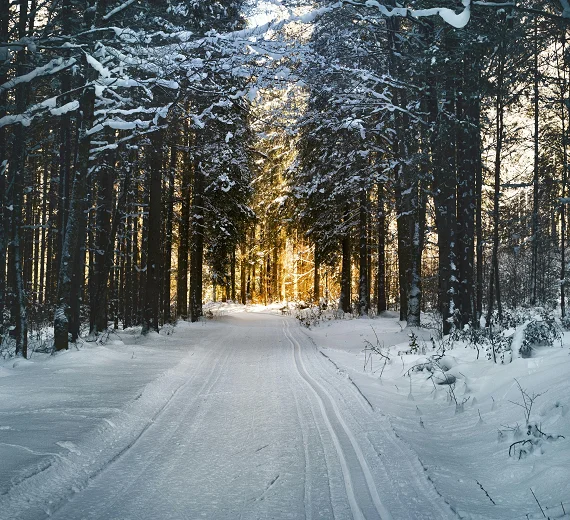 Zima počinje 21. decembra