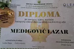 Lazaru Medigoviću zlatna medalja za maslinovo ulje na manifestaciji u Dalmaciji