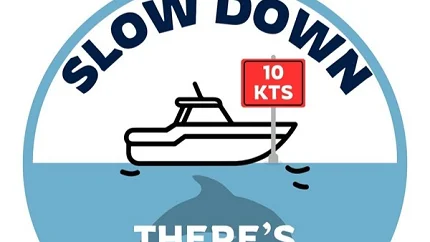 Uspostavljena prva regionalna centralizovana baza podataka o uočenim delfinima