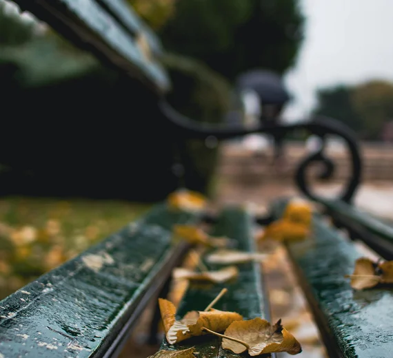 Sjura pretežno oblačno i dalje kišovito