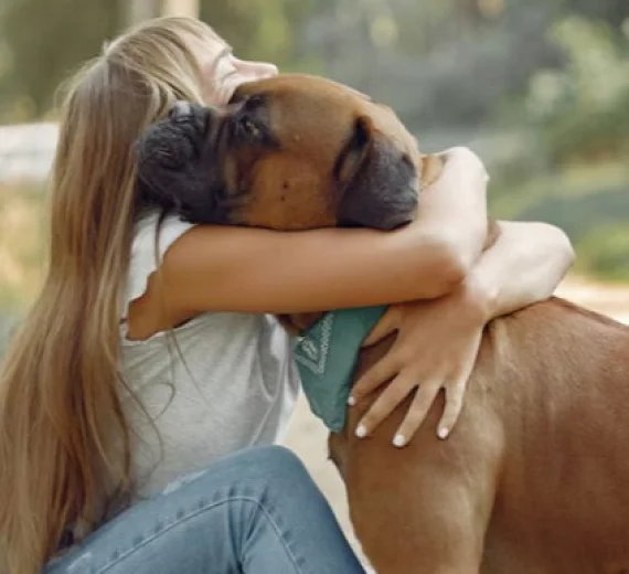 Istraživanje pokazalo da neki psi mogu da nauče nove riječi prisluškujući vlasnike