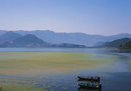 Međunarodni dan močvarnih područja