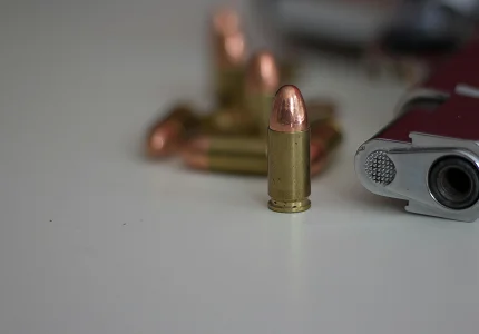 Tokom januara građani policiji predali 30 komada oružja