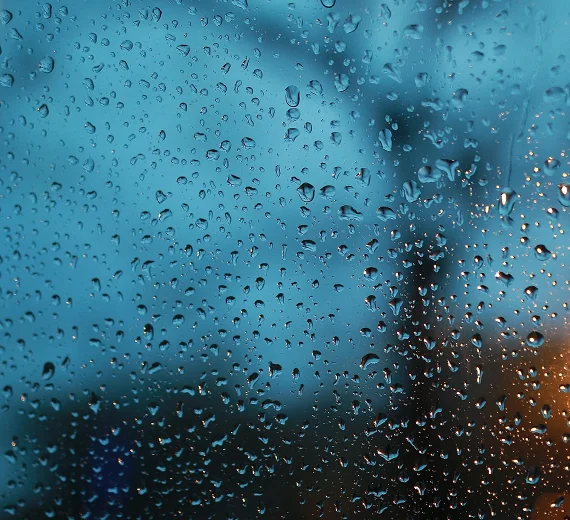 Kiša, do 15 stepeni 