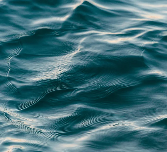 Registrovani ekstremni nivoi mora u Baru i Kotoru