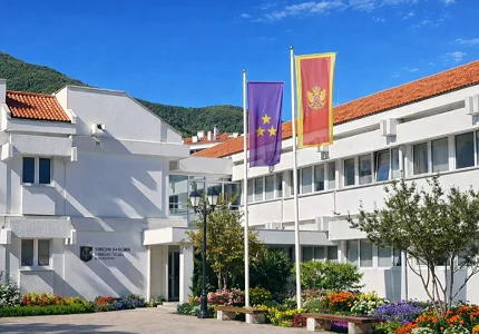 Dodatnih 50.000 eura za projekte nevladinih organizacija u Budvi