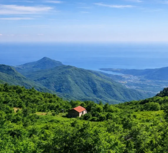 Studija: Crvena krvna zrnca 