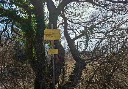 Od Brajića do Stanjevića 