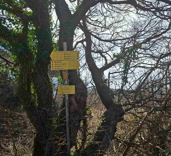 Od Brajića do Stanjevića 