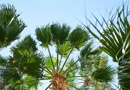 Danas pretežno sunčano, do 20 stepeni