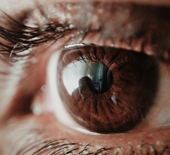 Revolucionarno otkriće: Vještačka rožnjača od ribljih krljušti