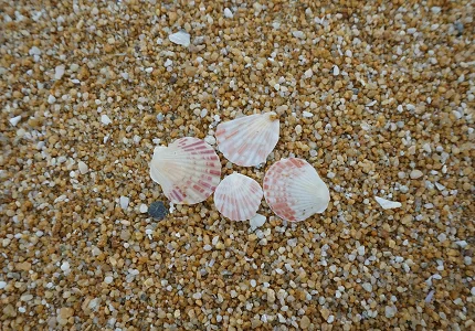 Pretežno sunčano i relativno toplo, do 20 stepeni