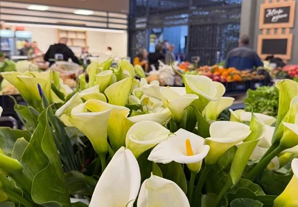 Budvanska Zelena pijaca zasijala novim sjajem