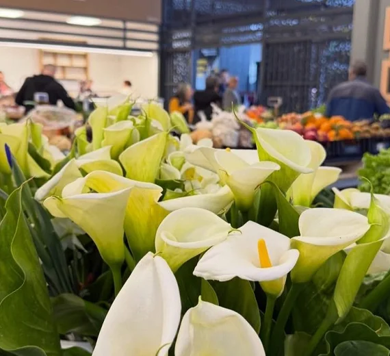 Budvanska Zelena pijaca zasijala novim sjajem