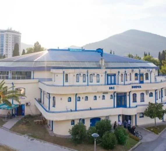 Budva – grad bez neplivača: Od prvih zamaha do šampionskih staza