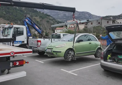Pauk služba u Budvi na novoj lokaciji