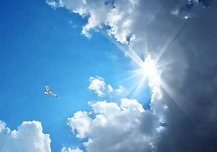 Slaba kiša, do 17 stepeni 