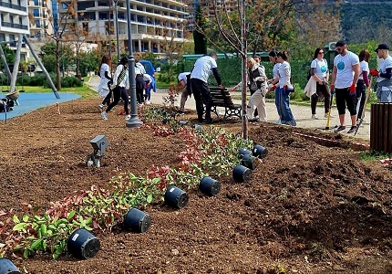 Budva dobila zeleniju oazu: Više od 110 volontera Sava osiguranja uredilo gradski park