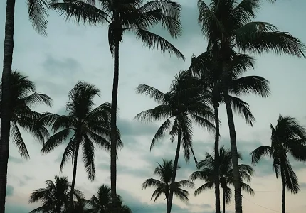 Pretežno sunčano, do 20 stepeni